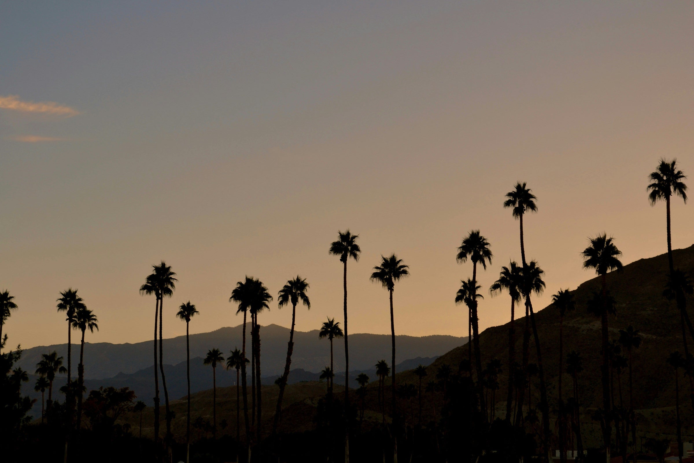Desert Days in Palm Springs