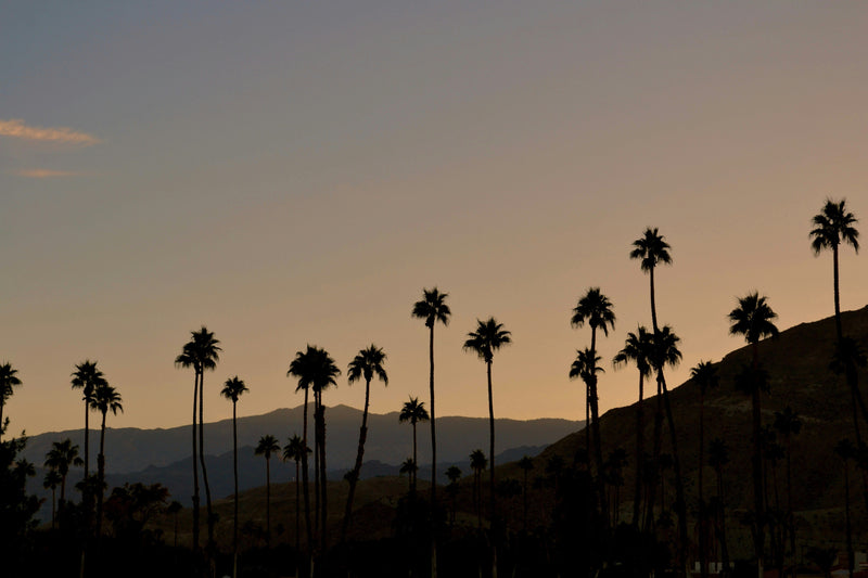 Desert Days in Palm Springs
