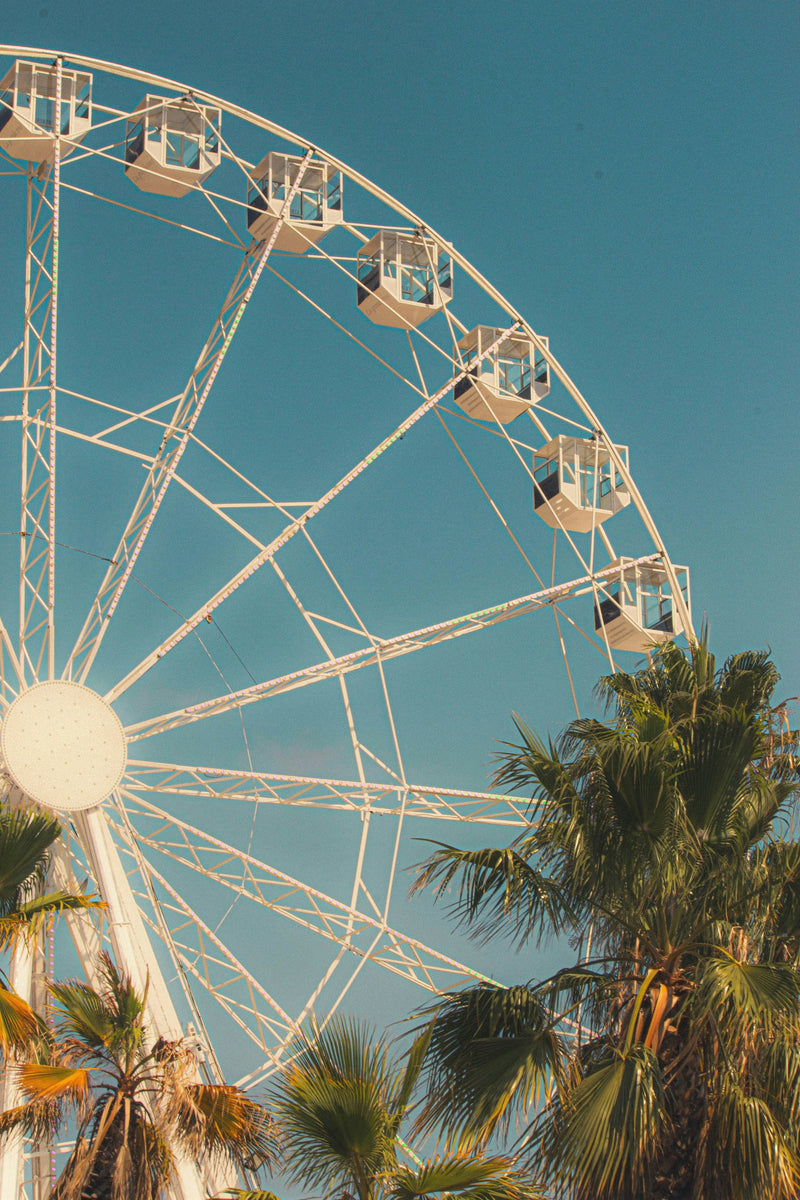 The Cannes Edit